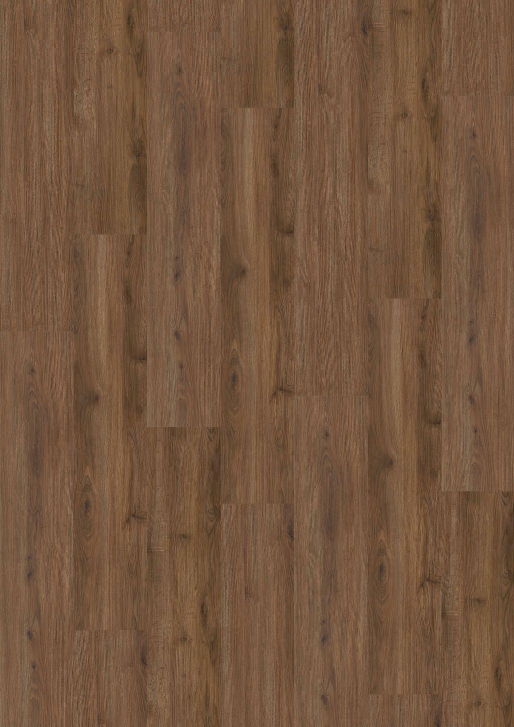 TB01-DESIGN-230-Dryback