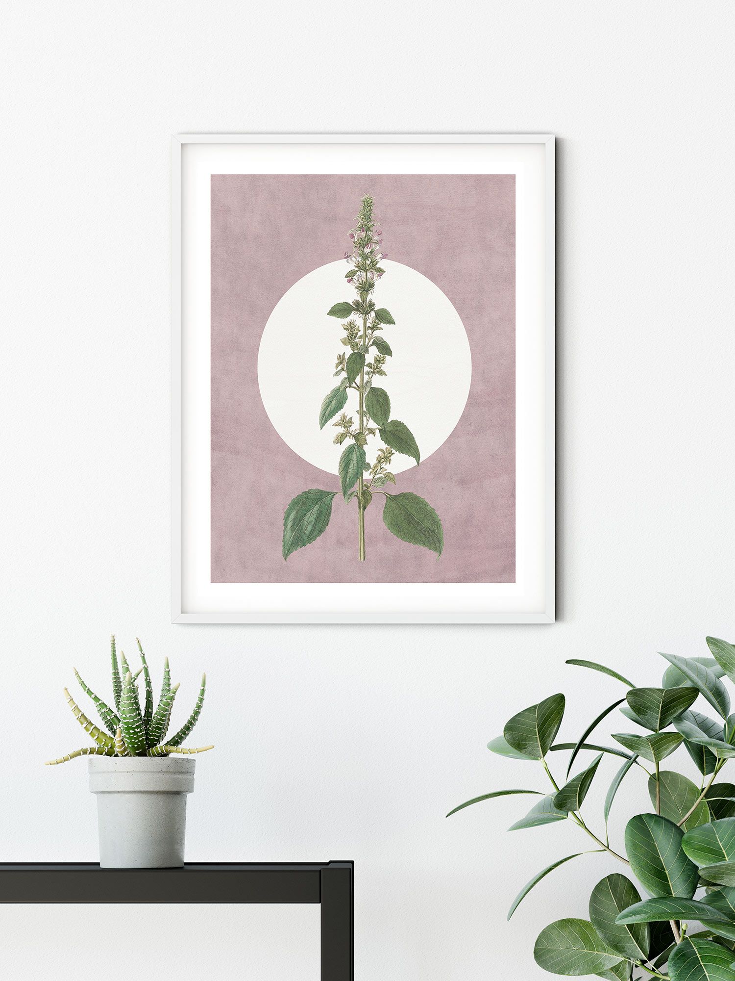 Komar Wandbild - Menthe en Croissance - Größe: 40 x 50 cm