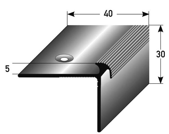 Treppenkante 40 x 30 x 5 mm alu eloxiert 100 x 4 cm