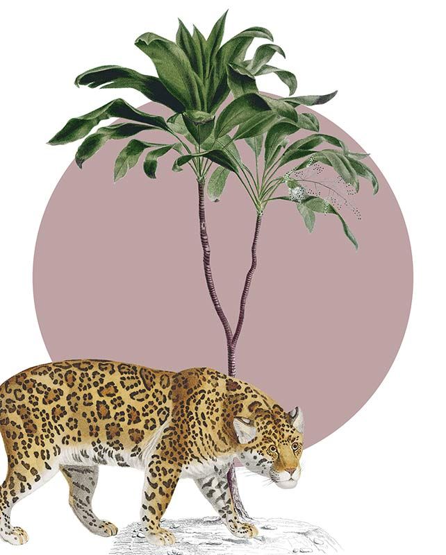 Komar Wandbild - Botanical Garden Jaguar  - Größe: 40 x 50 cm