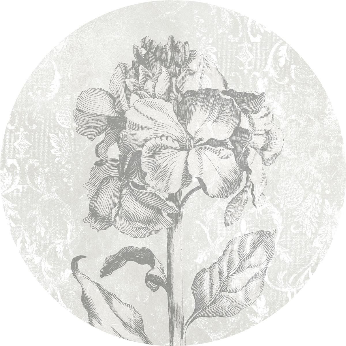Selbstklebende Vlies Fototapete/Wandtattoo - Barock Beauty - Größe 125 x 125 cm