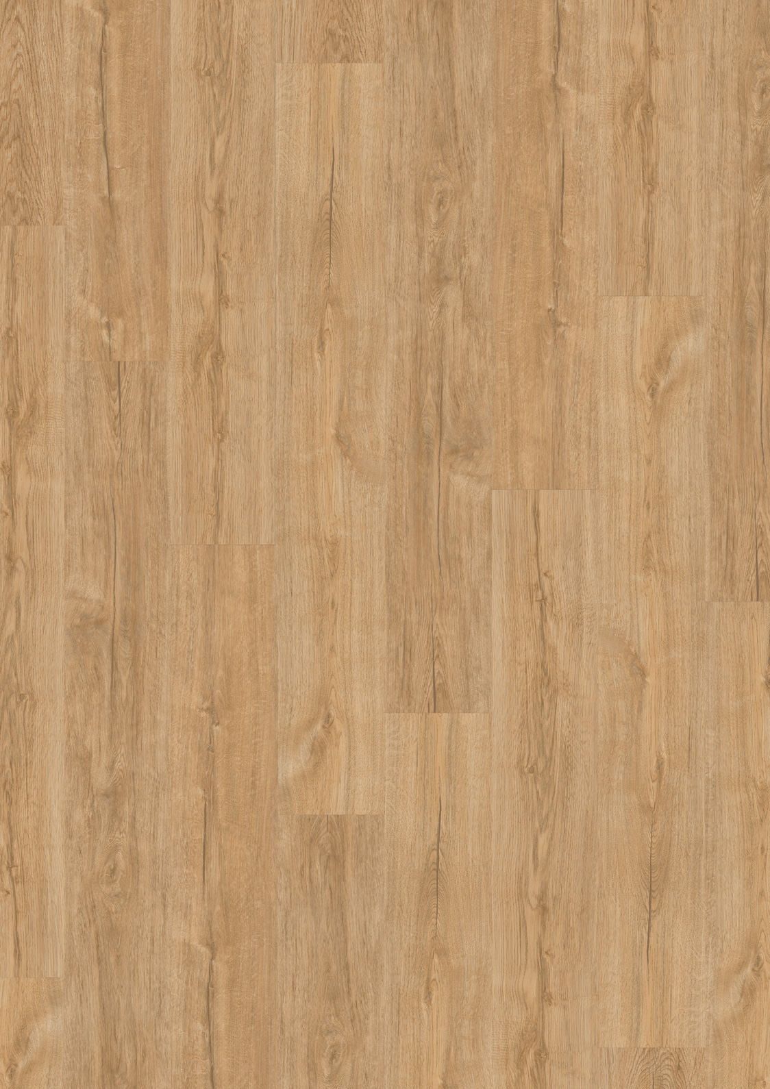 DESIGN 555 2,5mm/NS 0,55mm Dryback