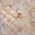 Beige 051
