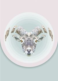 Komar Wandbild - Capricorn  - Größe: 50 x 70 cm