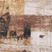 Beige 017-230