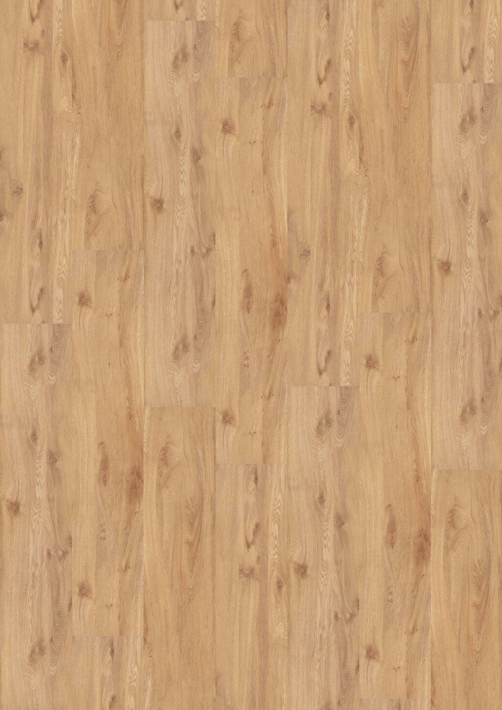 TB01-DESIGN-230-Dryback