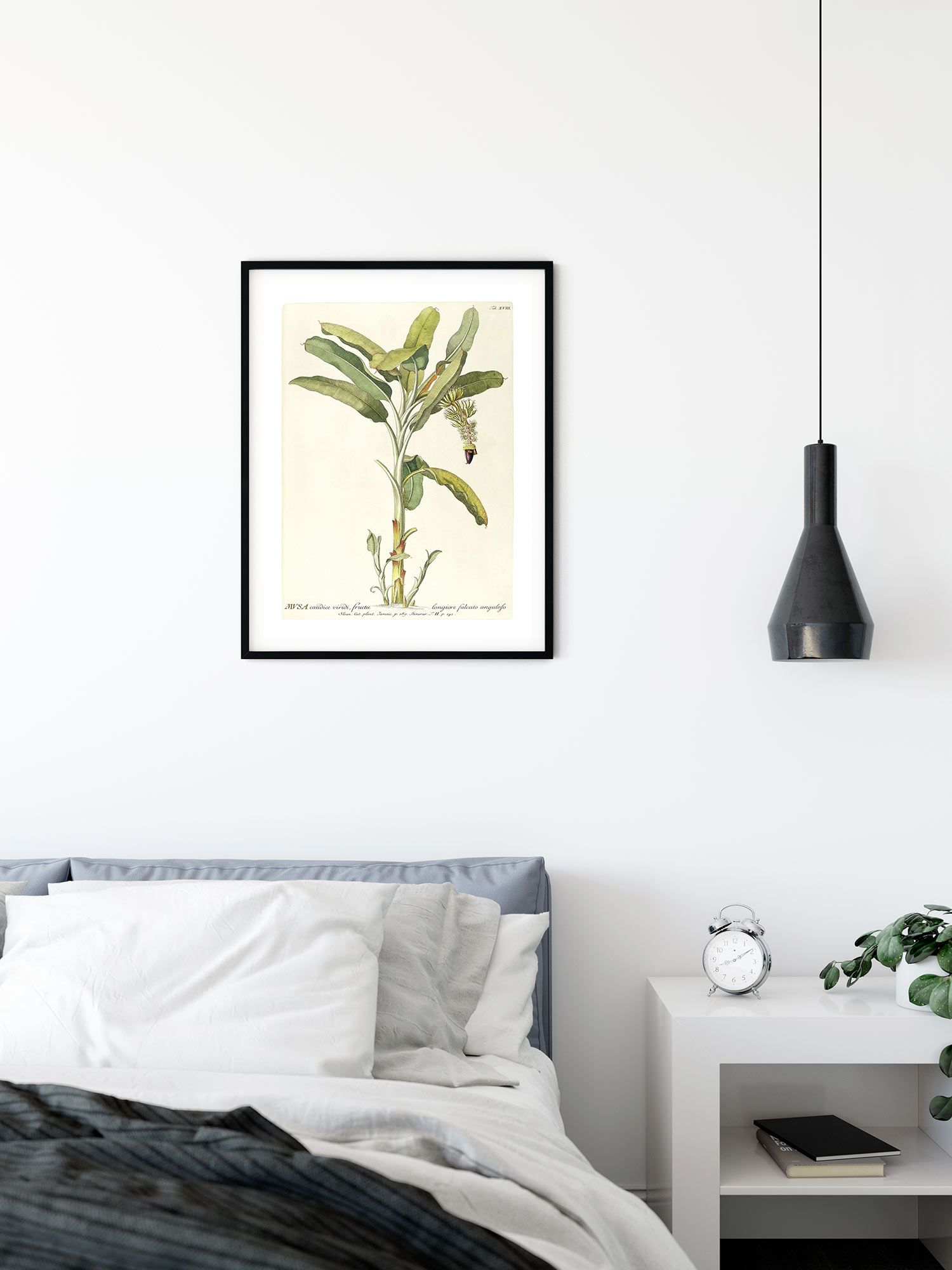 Komar Wandbild - Rainforest Sapling - Größe: 30 x 40 cm