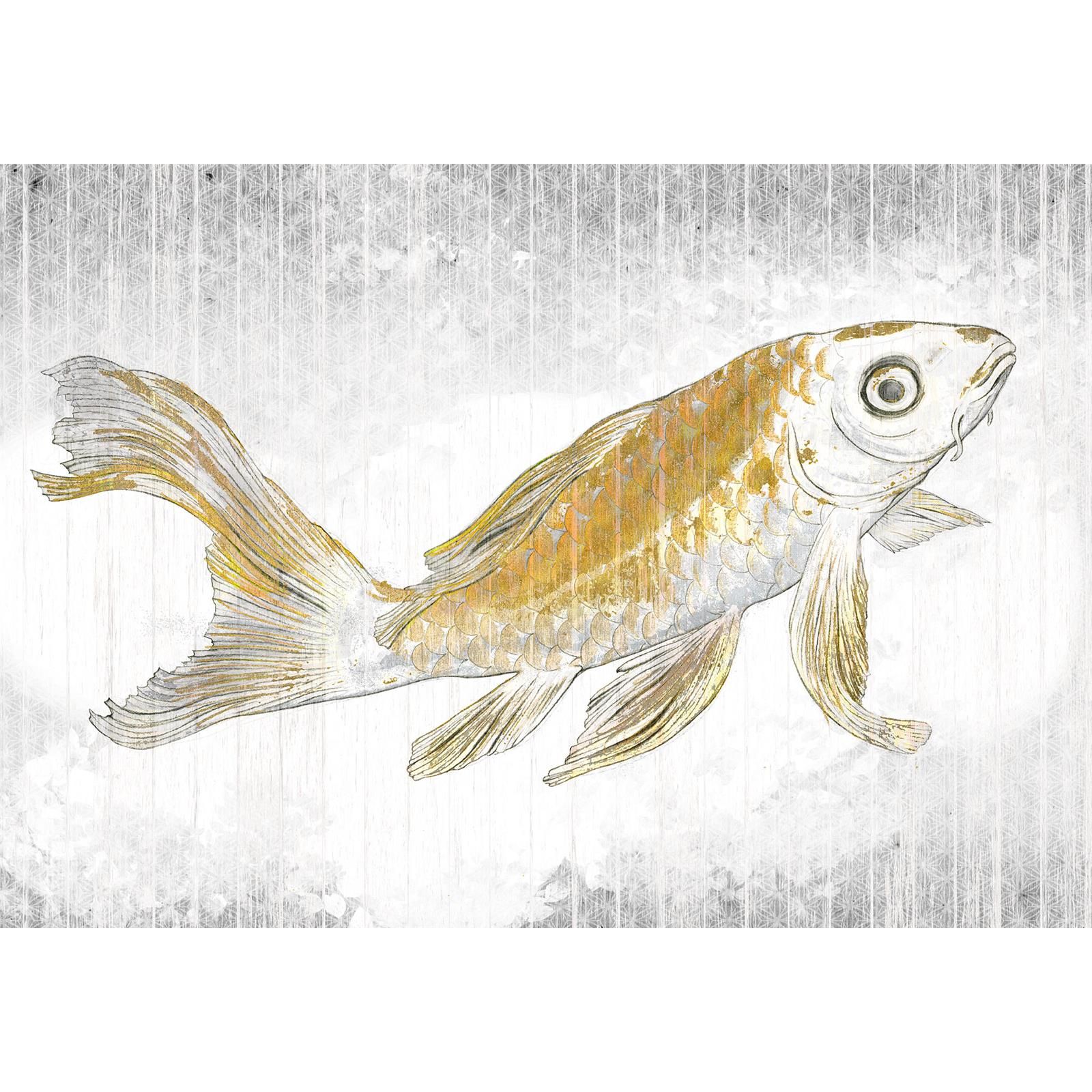Vlies Fototapete - Golden Koi - Größe 400 x 280 cm