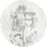 Selbstklebende Vlies Fototapete/Wandtattoo - Barock Beauty - Größe 125 x 125 cm