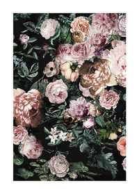 Komar Wandbild - Charming Wild - Größe: 50 x 70 cm