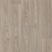 Citizen Oak MEDIUM GREY
