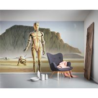 Vlies Fototapete - Star Wars Classic RMQ Droids - Größe 500 x 250 cm