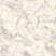 Marble Bianco Hexagon GOLD