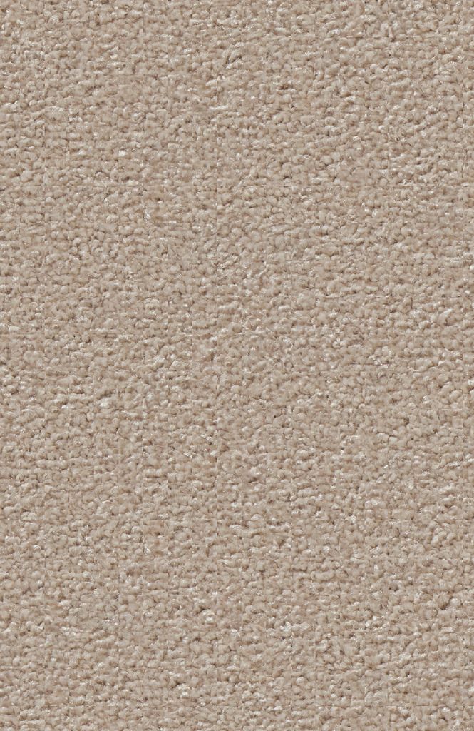 Teppichboden DAS TEPPICHWERK Passion 1055 CONZANO Velours Beige 8H99 - Rollenbreite 500 cm