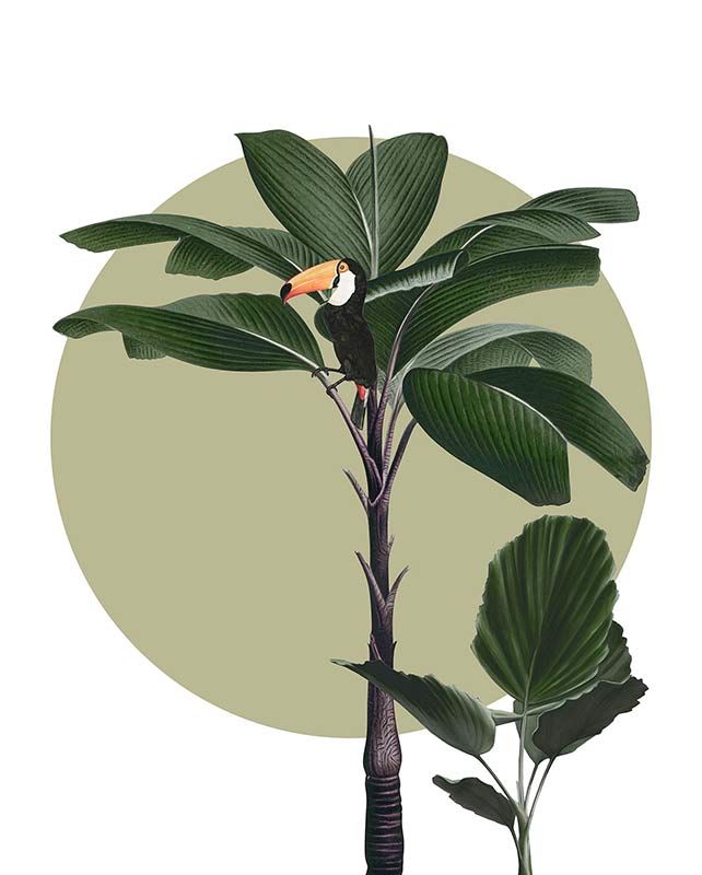 Komar Wandbild - Botanical Garden Palmtree  - Größe: 40 x 50 cm