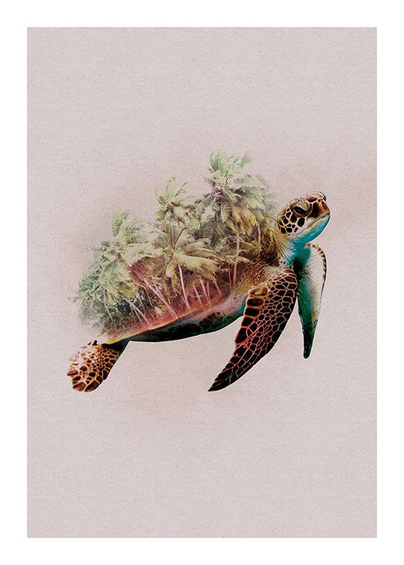 Komar Wandbild - Animals Paradise Turtle - Größe: 40 x 50 cm