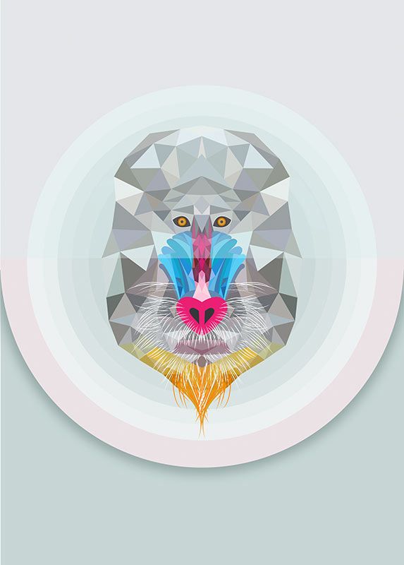 Komar Wandbild - Baboon  - Größe: 50 x 70 cm