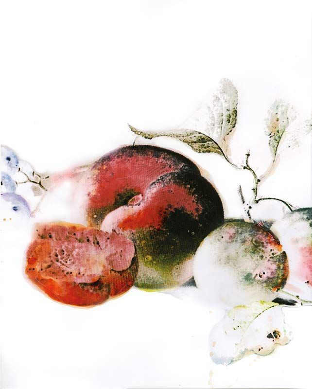 Komar Wandbild - Dessert Fruité  - Größe: 40 x 50 cm