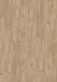 Bleached Elm