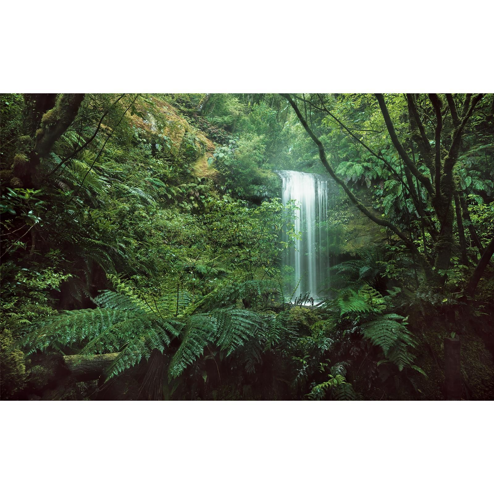 Vlies Fototapete - Secret Veil  - Größe 450 x 280 cm