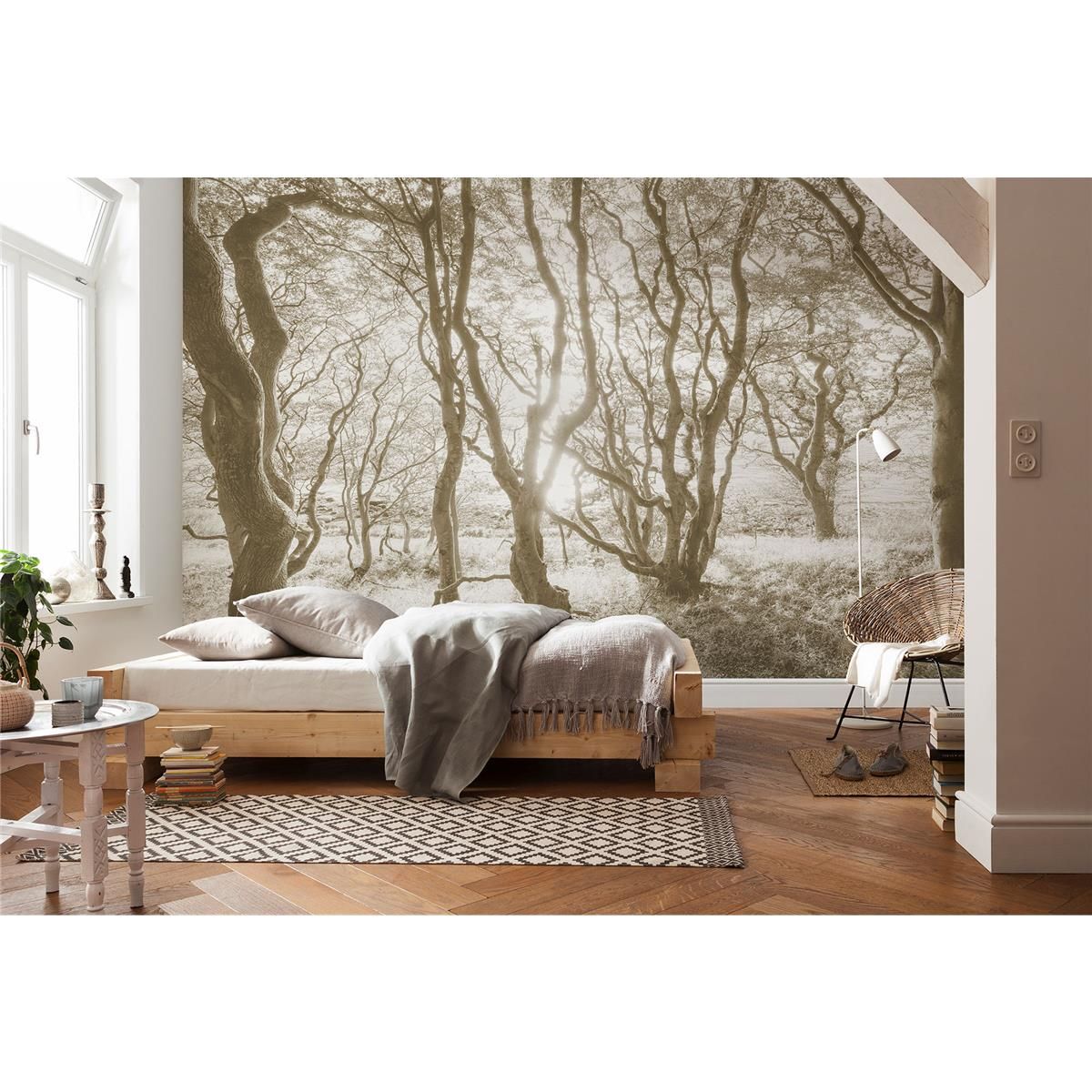 Vlies Fototapete - Bleached Birch - Größe 400 x 250 cm