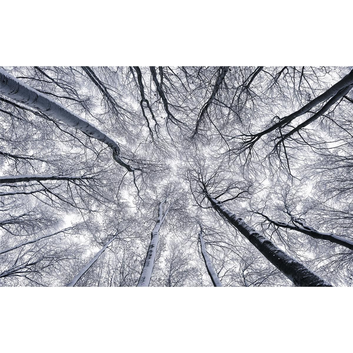 Vlies Fototapete - Up - Größe 400 x 250 cm