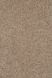 262 Beige