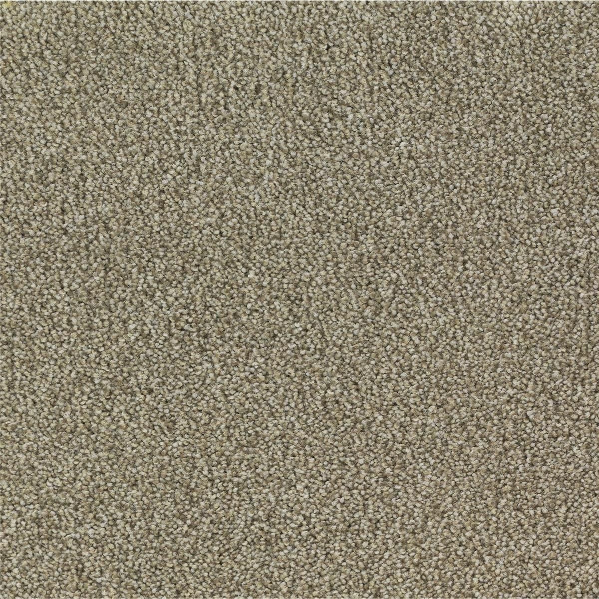 Teppichfliesen 50 x 50 cm Velours Arcade B023 2014 Beige Allover