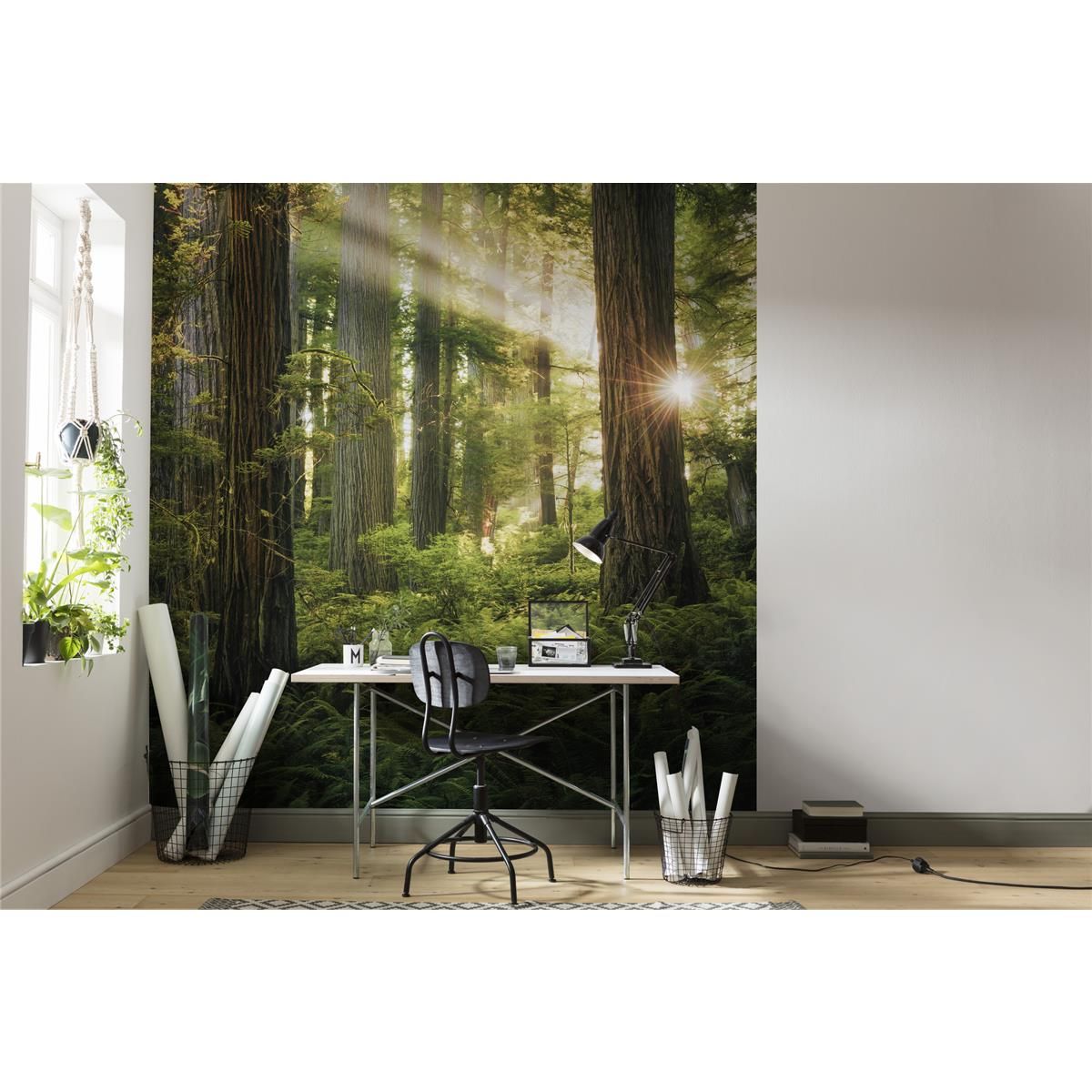 Vlies Fototapete - Goblins Woods - Größe 250 x 280 cm