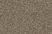 Taupe-7H53