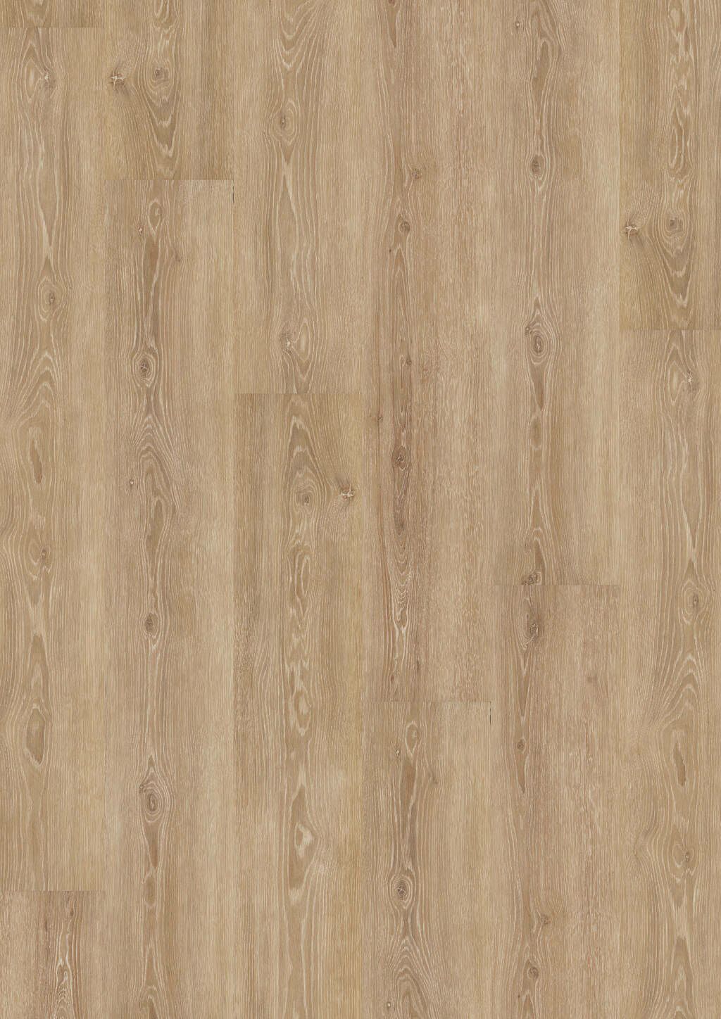 Perfect Ivory Oak