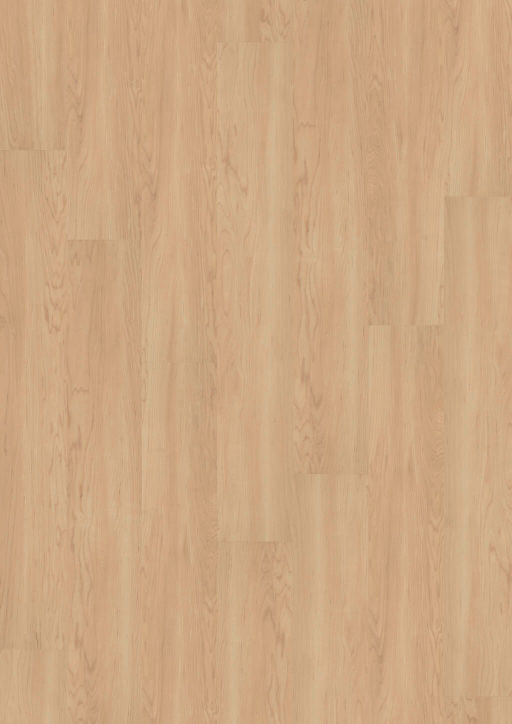 TB01-DESIGN-555-Dryback
