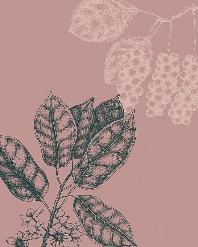 Komar Wandbild - Wild Berry  - Größe: 40 x 50 cm
