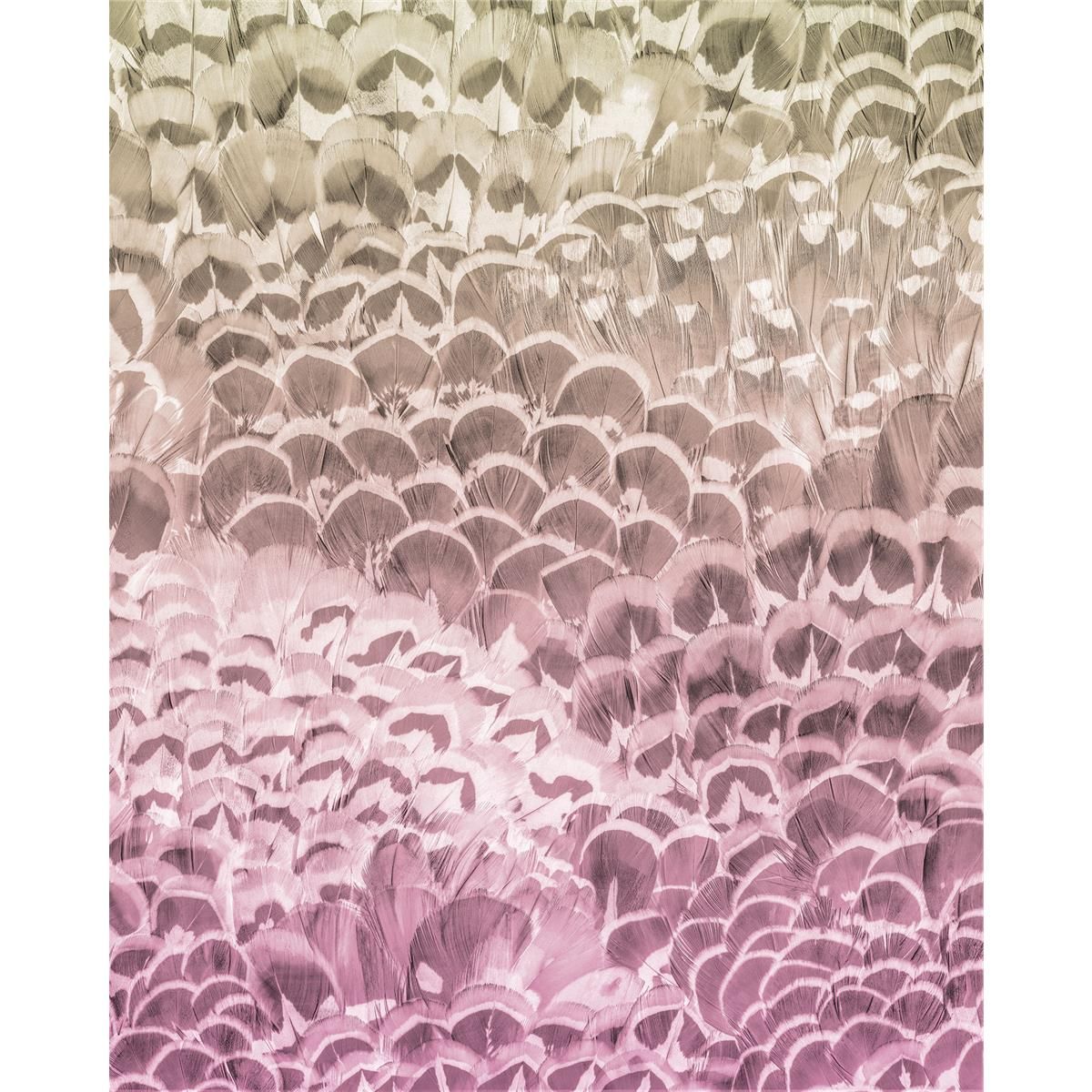 Vlies Fototapete - Pale Feathers - Größe 200 x 250 cm
