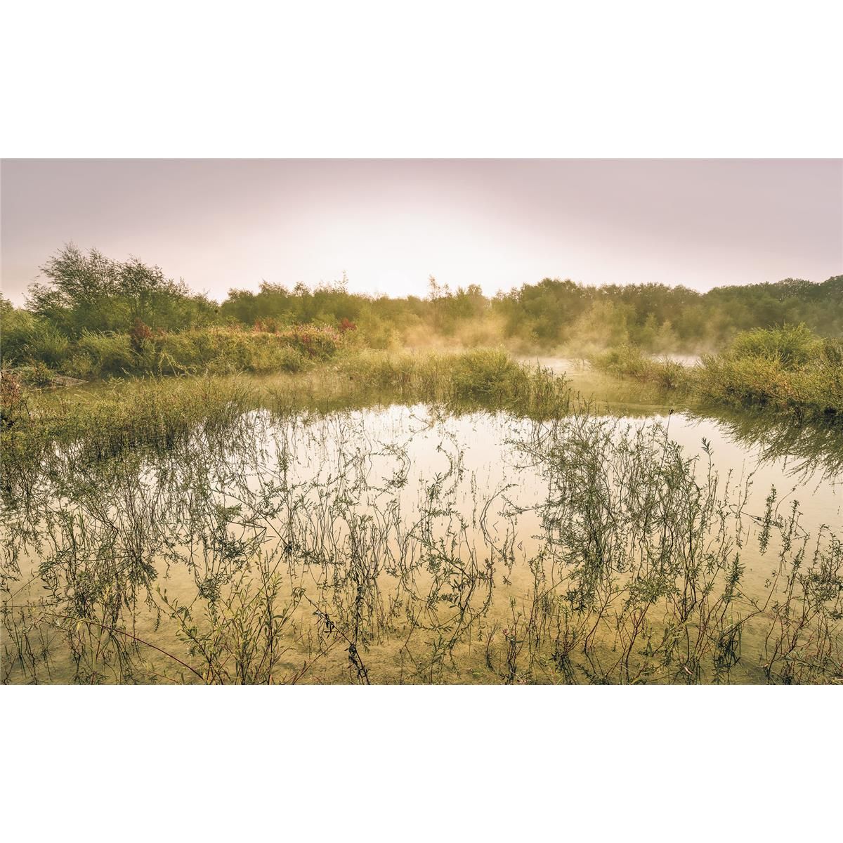 Vlies Fototapete - Morning View II - Größe 400 x 250 cm