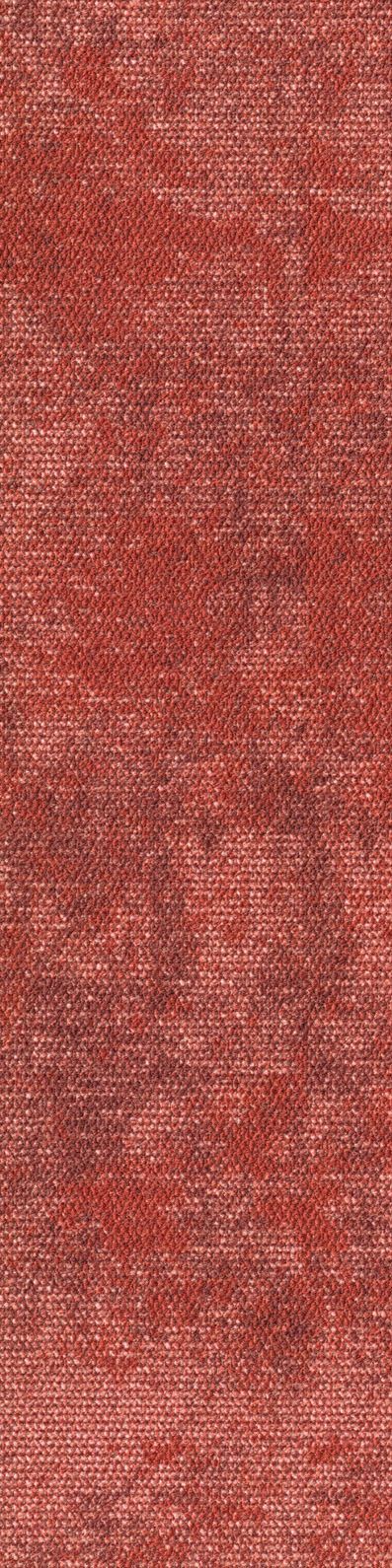 Teppichboden Terzia PL 25x100 cm Farbe 780