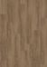 2811 Airy Oak
