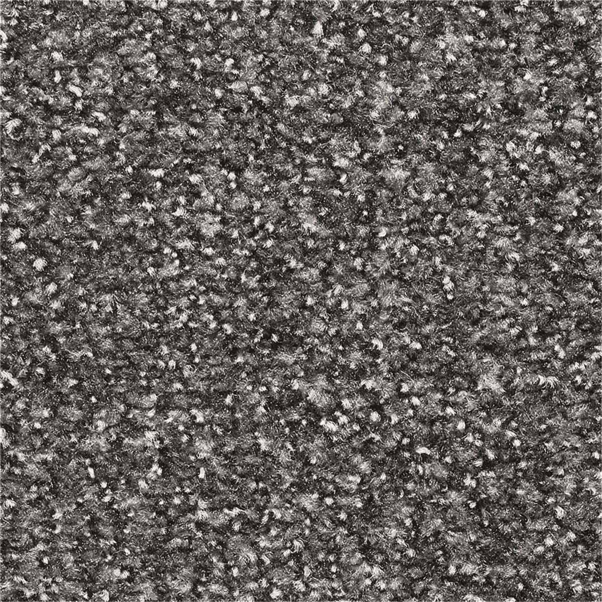 Sauberlauf COLOR PLUS - Rollenbreite 200, 130 und 90 cm