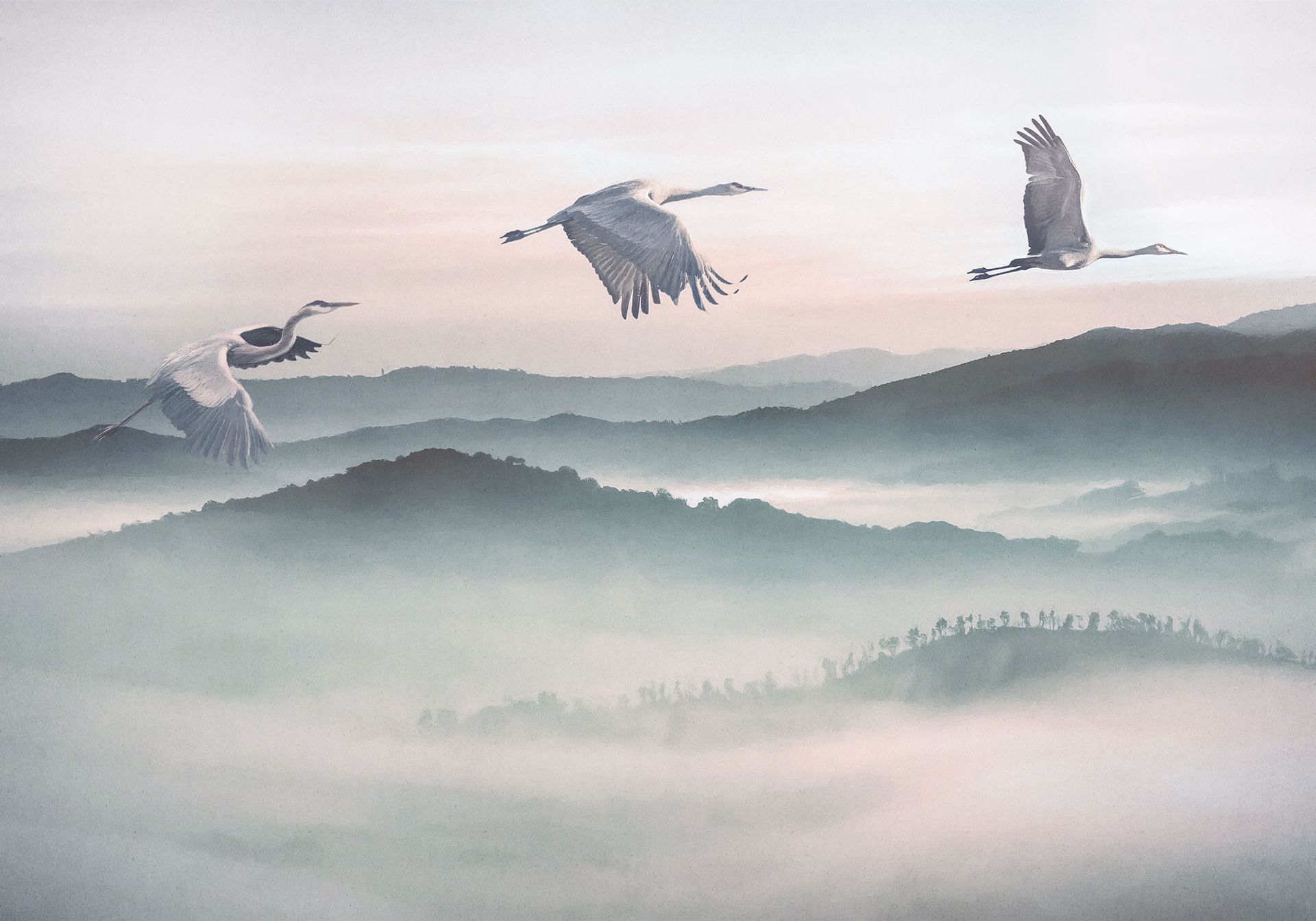 Vlies Fototapete - Mystic Cranes - Größe 400 x 280 cm