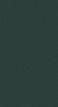 Teppichboden DAS TEPPICHWERK Exclusive 1009 ELARA Shag Frisé