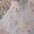 Beige 040