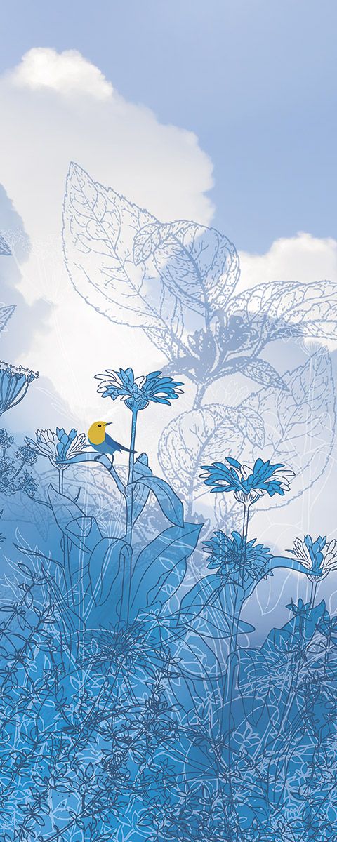 Vlies Fototapete - Blue Sky Panel - Größe 100 x 250 cm