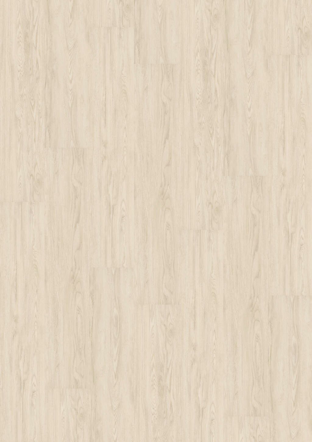 TB01-DESIGN-230-Dryback