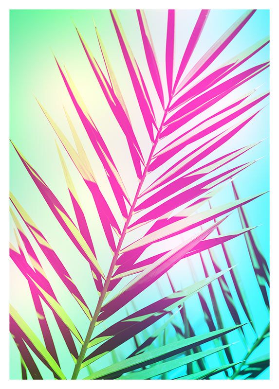 Komar Wandbild - Shine  - Größe: 50 x 70 cm