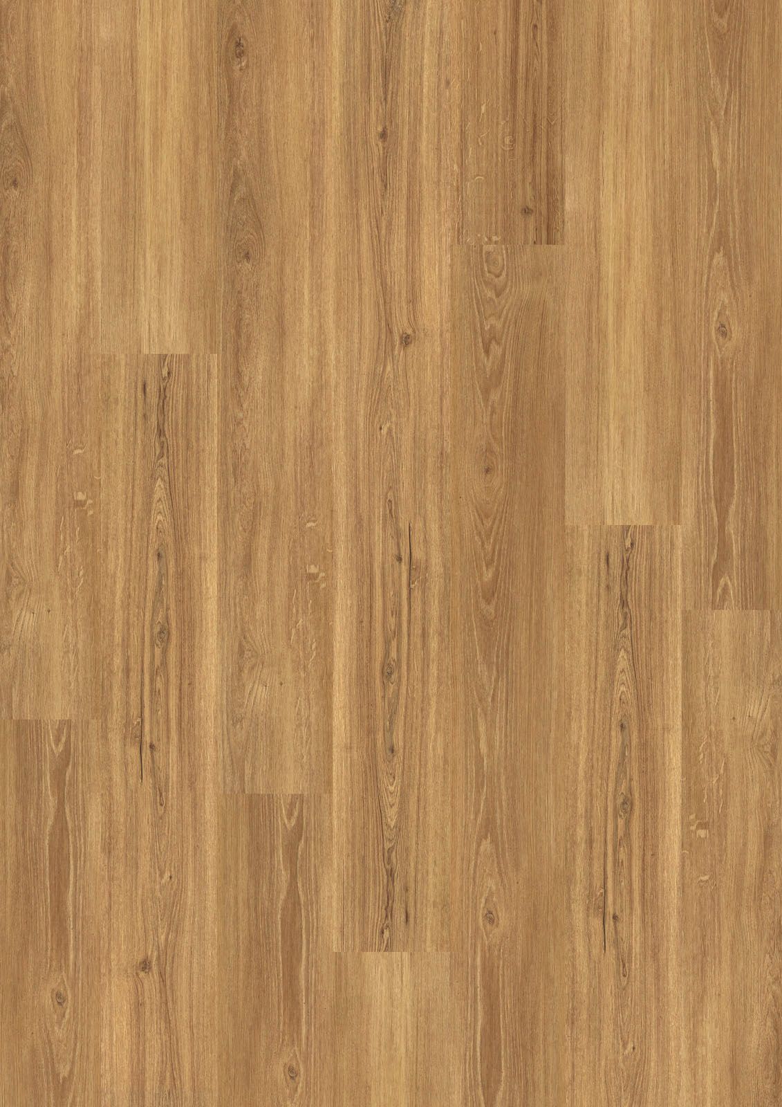 DESIGN 555 2,5mm/NS 0,55mm Dryback